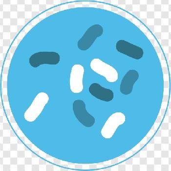 Bacteria Clipart Transparent Background Free Download - PNG App