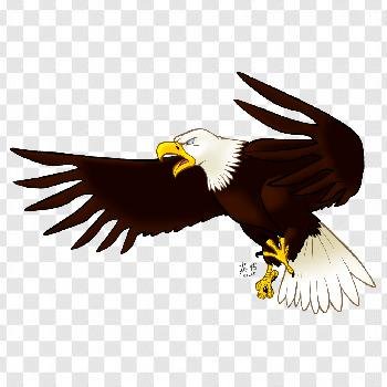 Eagle Free Png Images Hd Transparent Background Free Download - PNG App