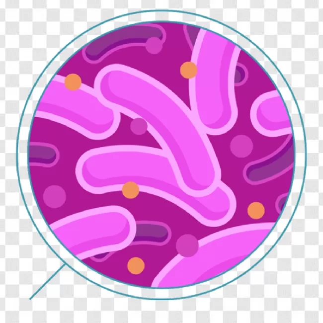 Bacteria Png Image Download 2022 Free Download