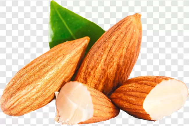 Badam Free Download Image Hd Free Download