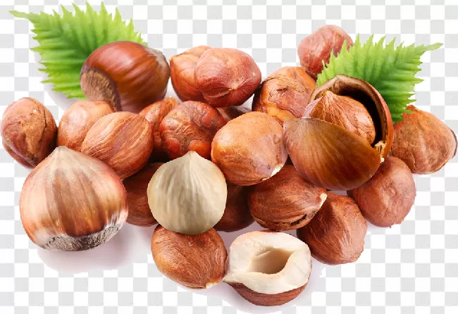 Betel Nut Png Free Download